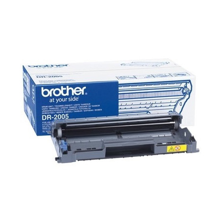 Cartouche Origine Brother DR-2005 pour HL-2035/HL-2037, rendue
