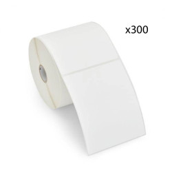 Rouleau étiquettes expédition 102x152mm x 300 - Noir sur Blanc