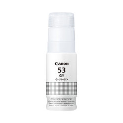 Cartouche Grise Origine CANON 53 (4708C001) - Impression conforme