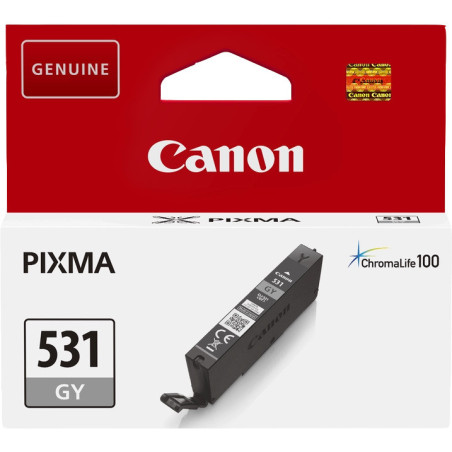 Cartouche Origine CANON PGI-531GY Gris (6122C001) - Cartouche Canon