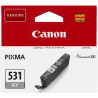 Cartouche Origine CANON PGI-531GY Gris (6122C001) - Cartouche Canon