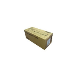 Tambour Ricoh 411113 Noir | Origine