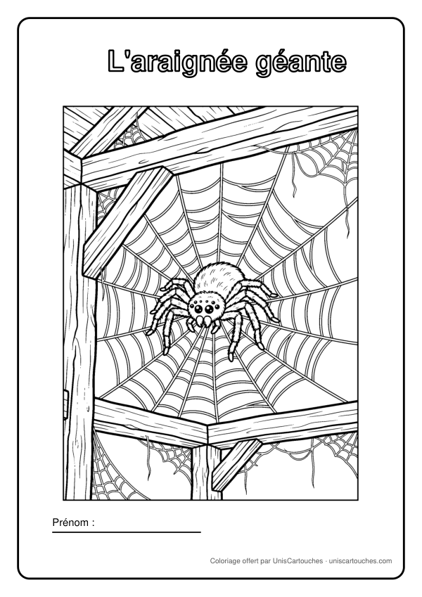 Coloriage Halloween : L'araignée géante