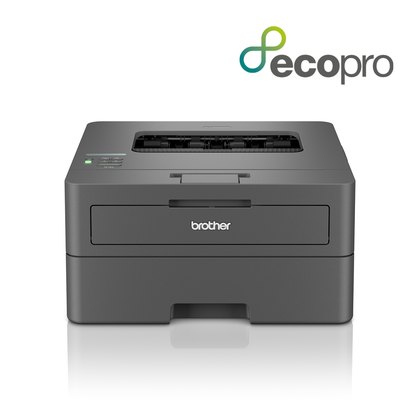 BROTHER HL-L 2400DWE